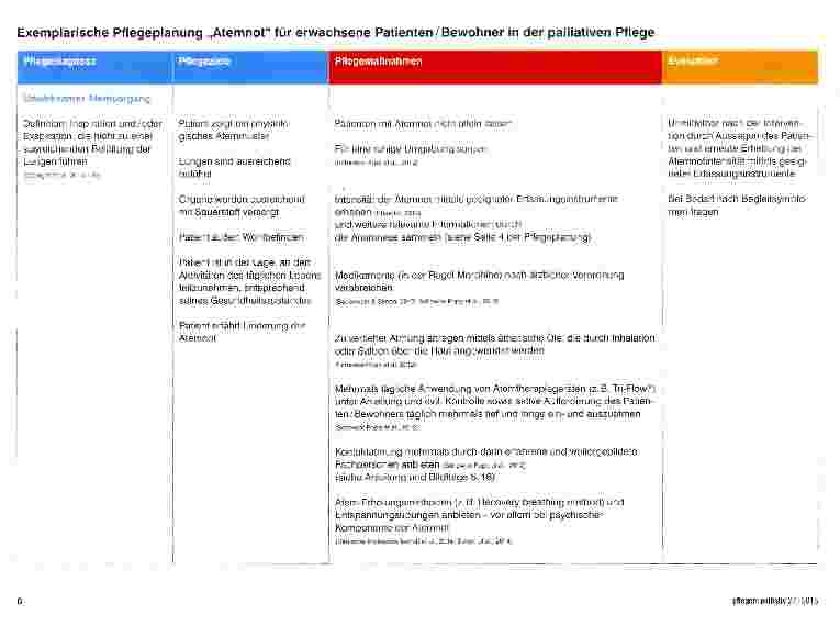Vorschauseite 5: Evidenzbasierte exemplarische Pflegeplanung für die palliative Pflege