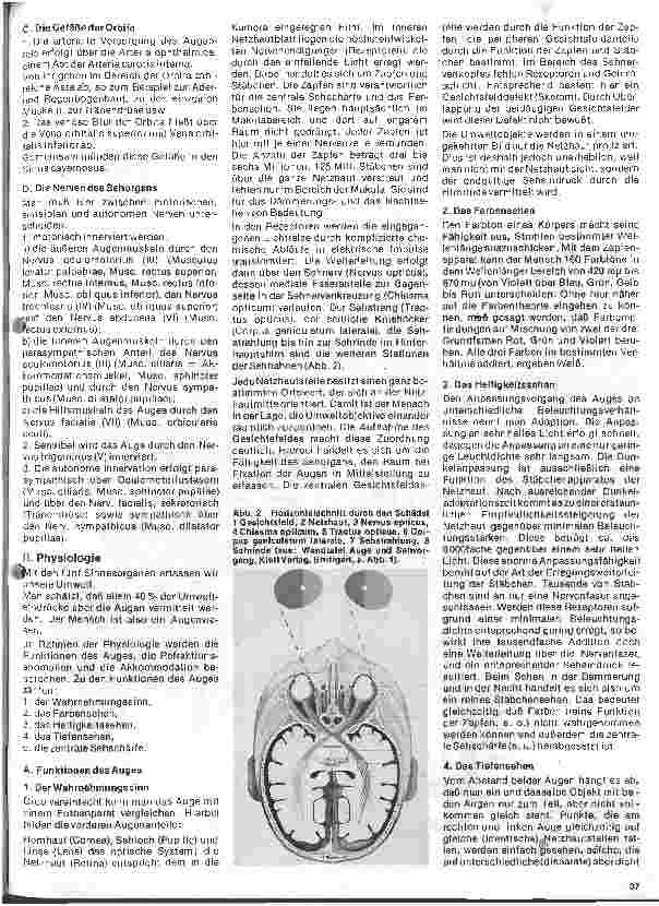 Vorschauseite 2: Einführung in die Augenheilkunde 1. Folge: Anatomie und Physiologie des Auges