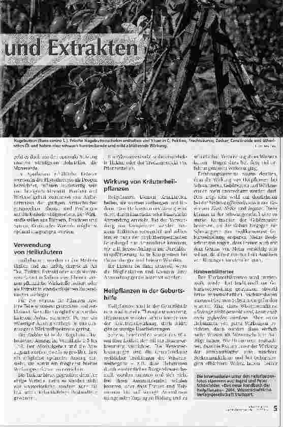 Vorschauseite 2: Von Tees, Tinkturen und Extrakten