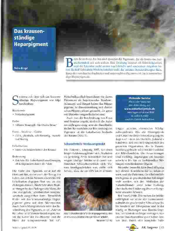 Vorschauseite 1: Das krausenständige Heparpigment