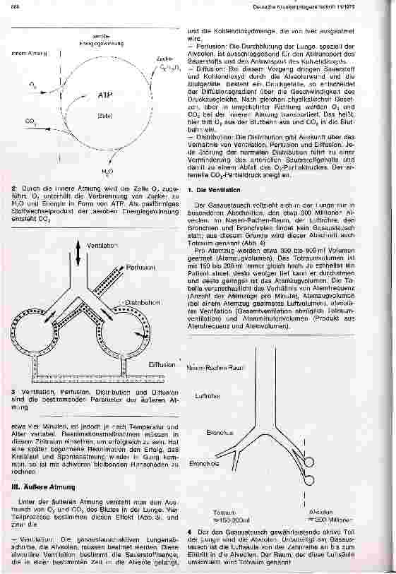 Vorschauseite 2: Pathophysiologie des Kreislaufstillstandes Physiologie der Wiederbelebung