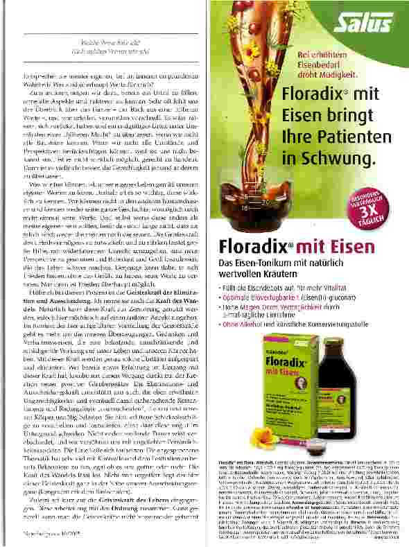 Vorschauseite 4: Die Magie der 12 Geisteskräfte