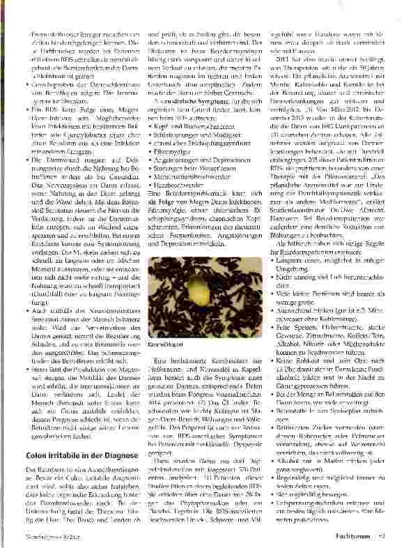 Vorschauseite 2: Colon irritabile