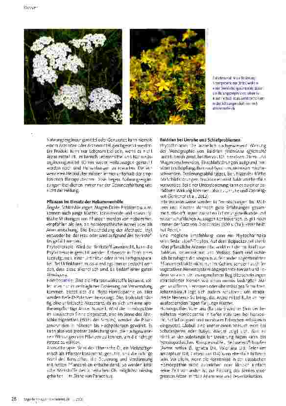 Vorschauseite 3: Baldrian und Co. als Tee, Globuli oder Aromamischung verabreichen?