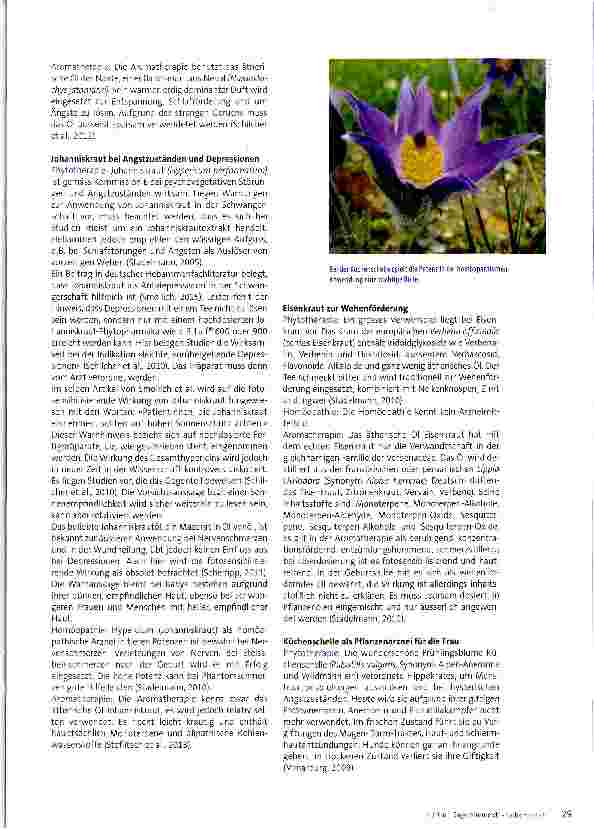 Vorschauseite 4: Baldrian und Co. als Tee, Globuli oder Aromamischung verabreichen?