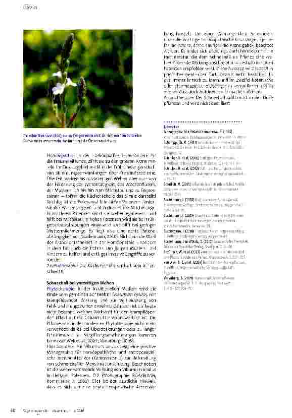 Vorschauseite 5: Baldrian und Co. als Tee, Globuli oder Aromamischung verabreichen?