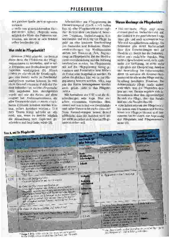 Vorschauseite 2: Pflegeberichte - nur lästige Pflicht? Die tiefe Kluft zwischen Patient und Patientenbericht