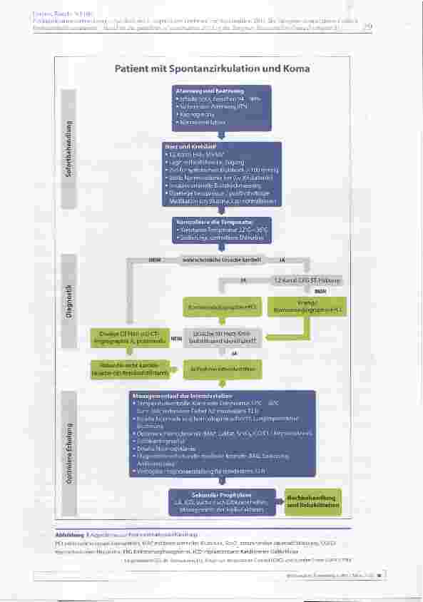 Vorschauseite 4: Postreanimationsbehandlung - Auf Basis des 5. Kapitels der Leitlinien zur Reanimation 2015 des European Resuscitation Council
