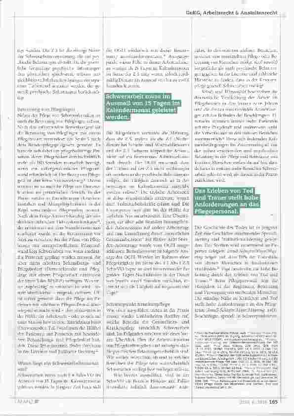 Vorschauseite 2: Berufsbedingte Pflege Schwerarbeit?