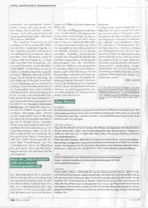 Vorschauseite 3: Berufsbedingte Pflege Schwerarbeit?