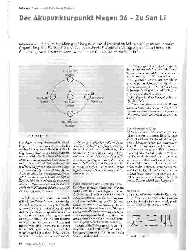 Vorschauseite 1: Der Akupunkturpunkt Magen 36 - Zu San Li