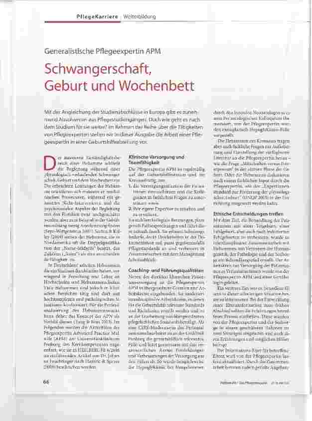 Vorschauseite 1: Generalistische Pflegeexpertin APM Schwangerschaft, Geburt und Wochenbett