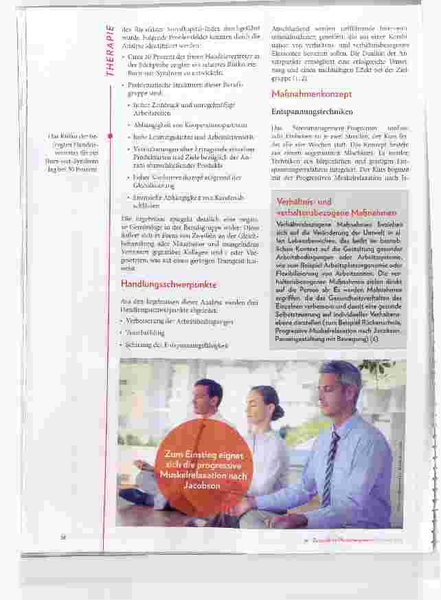 Vorschauseite 2: Physiotherapeutisches Stressmanagement bei freien Handelsvertretern