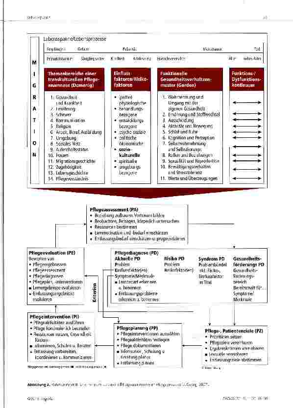 Vorschauseite 3: Transkulturelle Pflegeanamnese und Pflegediagnostik