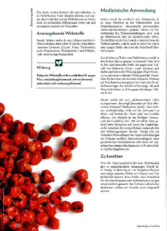 Vorschauseite 2: Rosa Pfeffer Entzündungshemmer aus den Subtropen