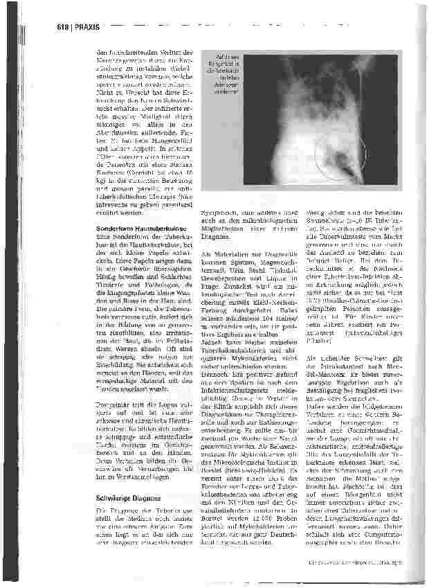 Vorschauseite 3: Von der Mottenbürg zur modernen Therapie