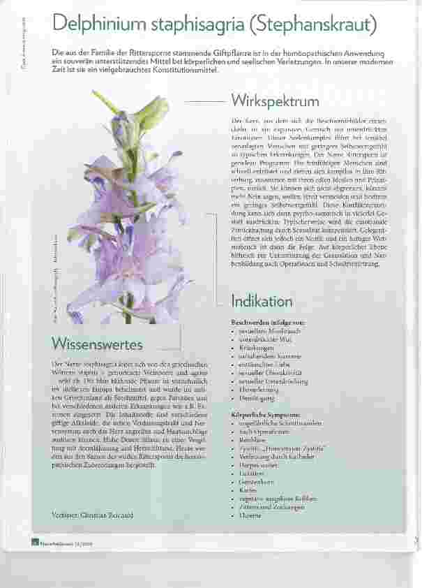 Vorschauseite 1: Delphinium staphisagria (Stephanskraut)