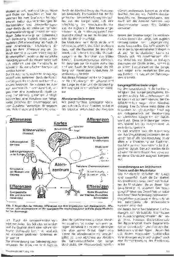 Vorschauseite 3: Altersund Organveränderungen 4. Teil: Das Atmungssystem