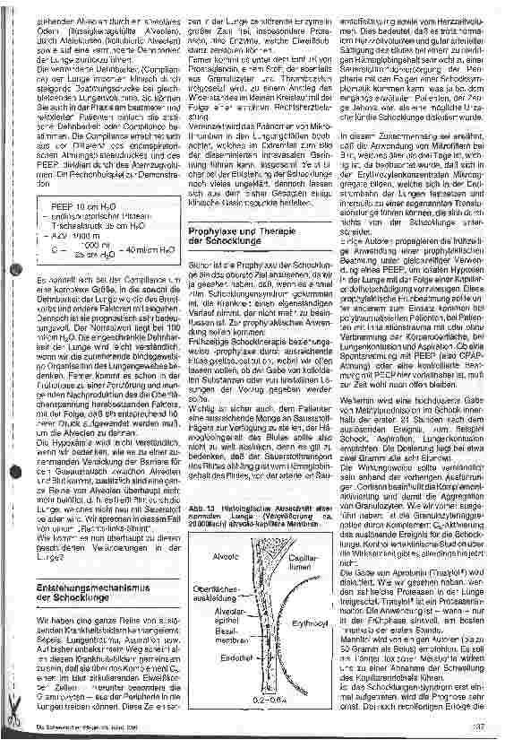 Vorschauseite 5: Respiratorische Insuffizienz - Schocklunge