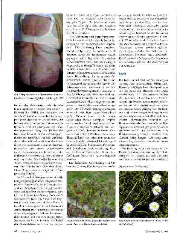 Vorschauseite 4: Die Haut Spiegel unserer Gesundheit