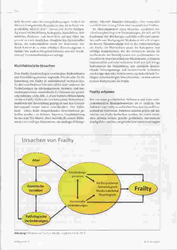 Vorschauseite 2: Frailty Komplexes multidimensionales Syndrom