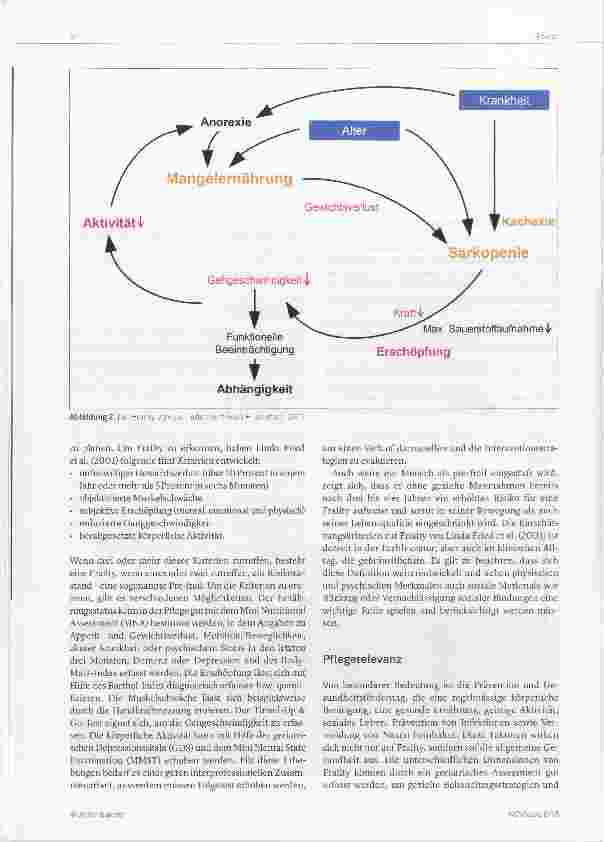 Vorschauseite 3: Frailty Komplexes multidimensionales Syndrom