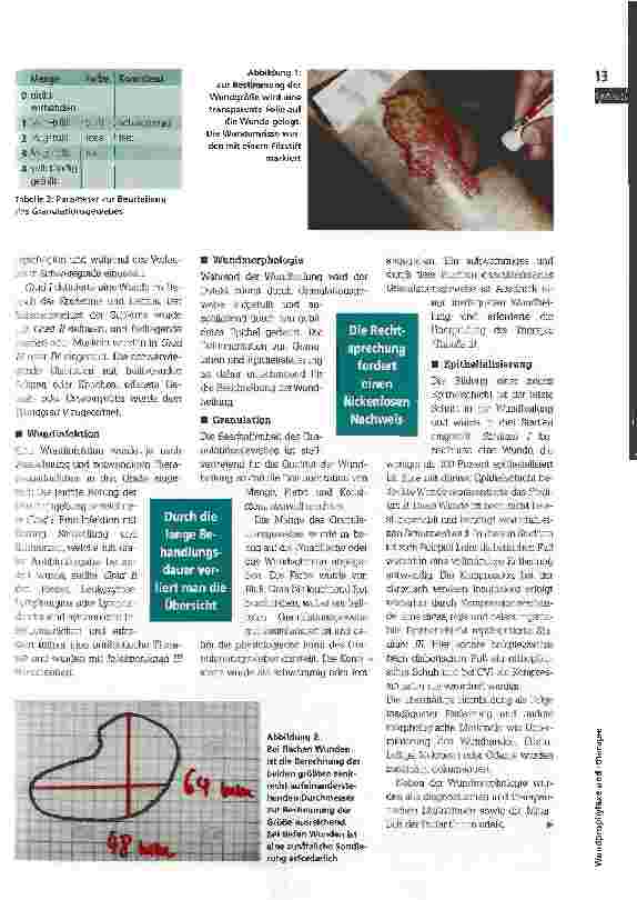 Vorschauseite 2: Objektiv, einfach und notwendig Qualitätssicherung durch standardisierte Wunddokumentation bei chronischen Wunden