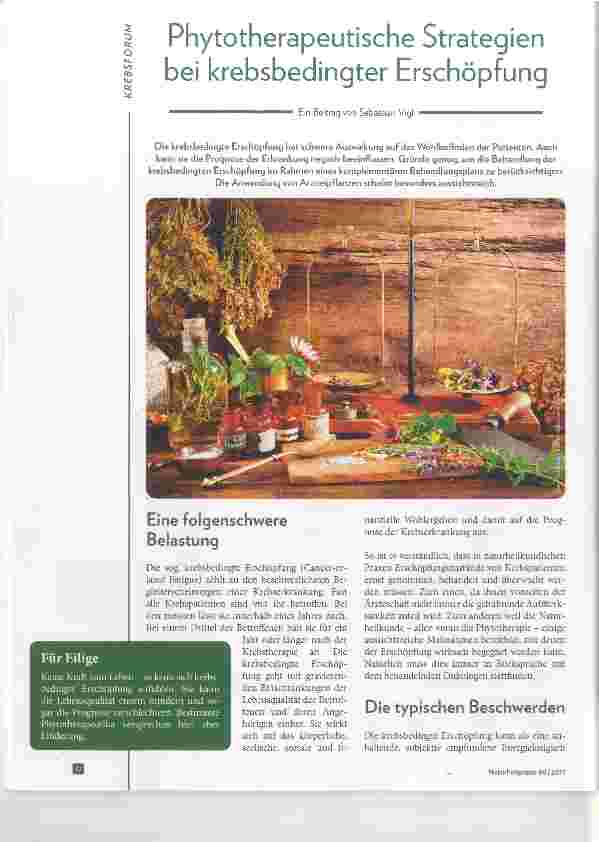 Vorschauseite 1: Phytotherapeutische Strategien bei krebsbedingter Erschöpfung