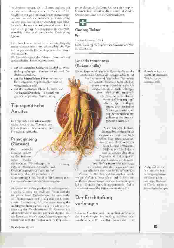 Vorschauseite 2: Phytotherapeutische Strategien bei krebsbedingter Erschöpfung