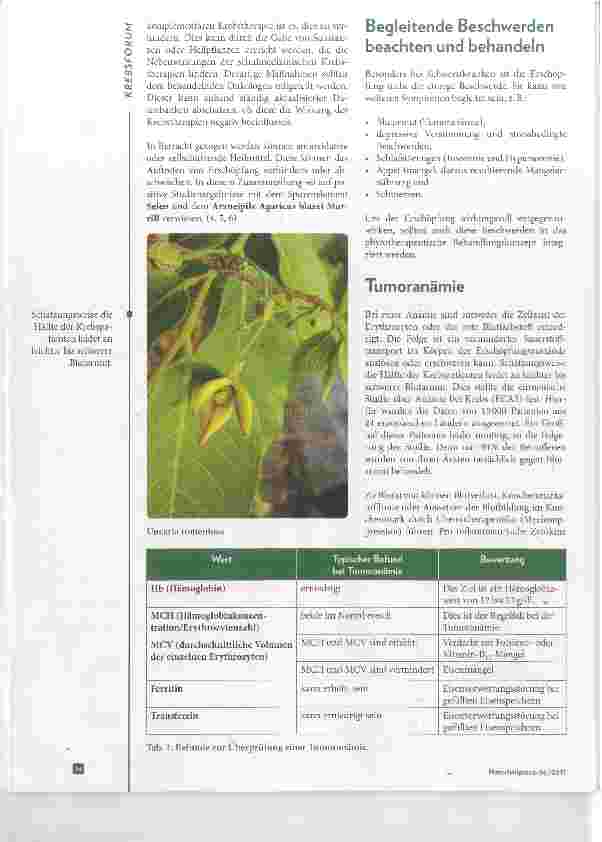 Vorschauseite 3: Phytotherapeutische Strategien bei krebsbedingter Erschöpfung