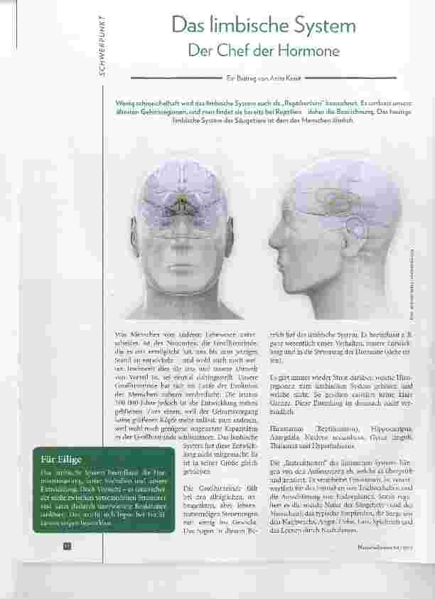 Vorschauseite 1: Das limbische System Der Chef der Hormone