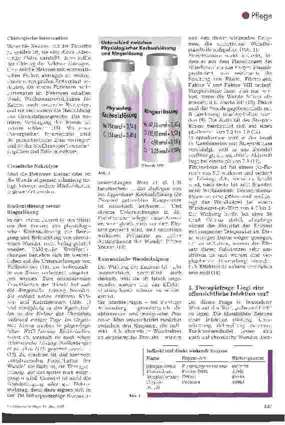 Vorschauseite 2: Prinzipien der Dekubitustherapie 2. Teil