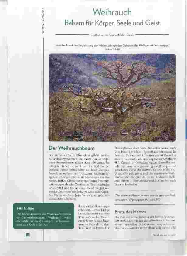 Vorschauseite 1: Weihrauch Balsam für Körper, Seele und Geist