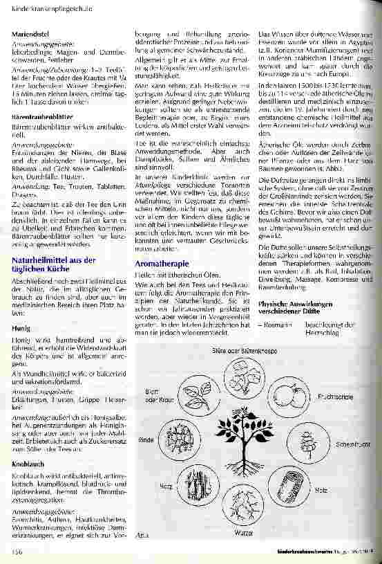 Vorschauseite 2: Alternative Heilmethoden Facharbeit des Kurses 94 A der Kinderkrankenpflegeschule des Universitätsklinikums Essen