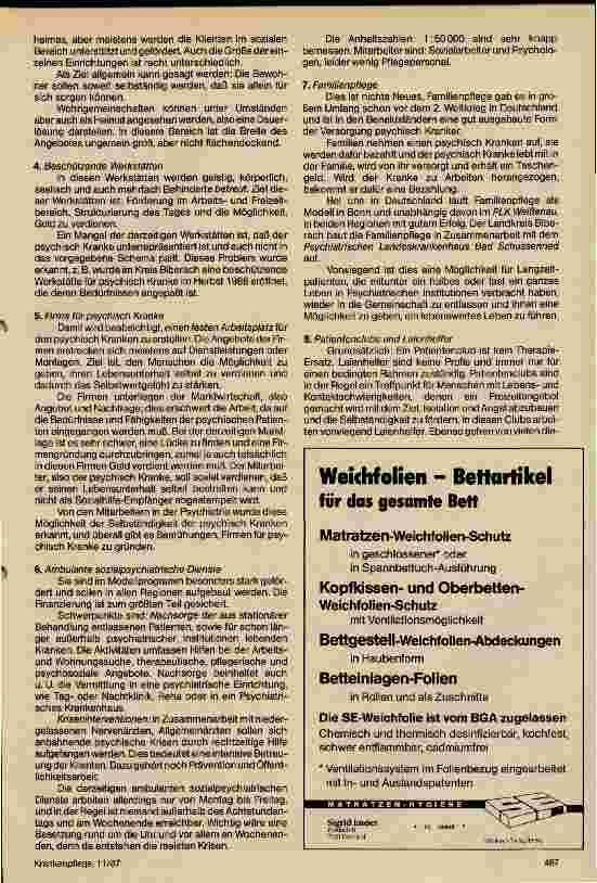 Vorschauseite 2: Sozial-psychiatrische Pflege in der BRD