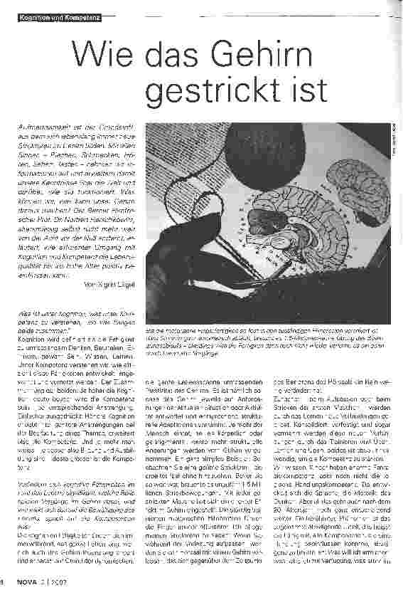 Vorschauseite 1: Wie das Gehirn gestrickt ist