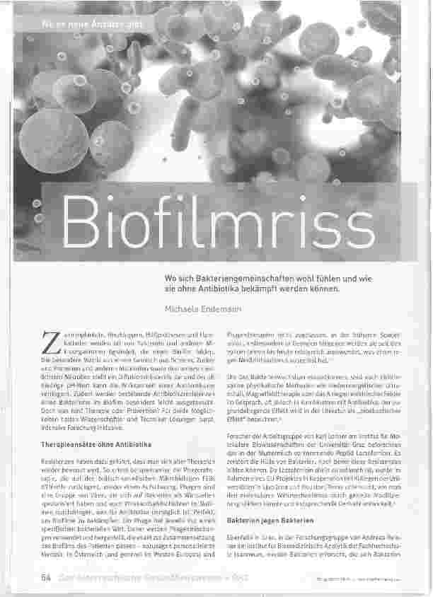 Vorschauseite 1: Biofilmriss