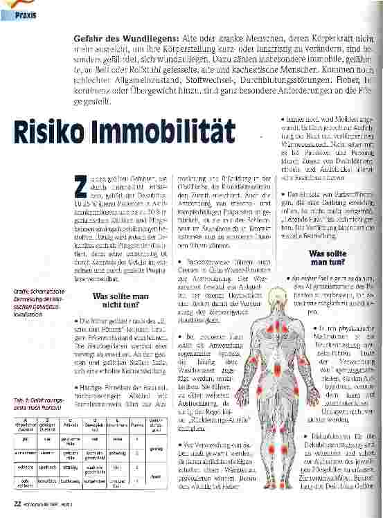 Vorschauseite 1: Risiko Immobilität