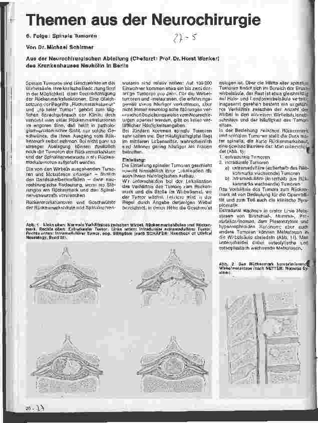 Vorschauseite 1: Themen aus der Neurochirurgie 6. Folge: Spinale Tumoren
