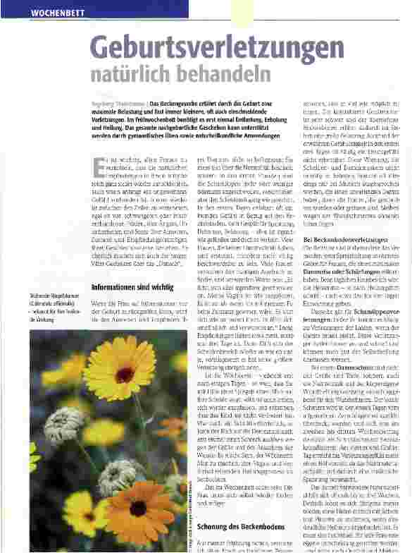 Vorschauseite 1: Geburtsverletzungen natürlich behandeln