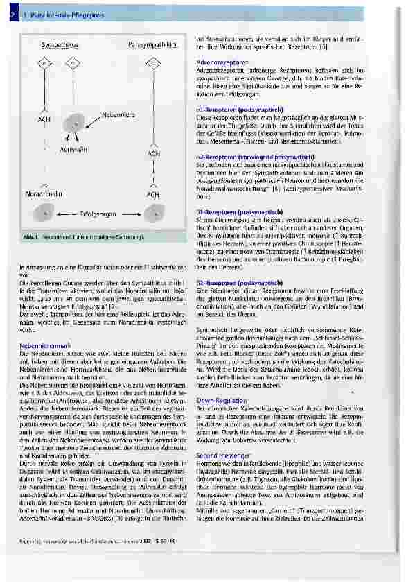 Vorschauseite 2: Intravenöse vasoaktive Substanzen im Klinikgebrauch