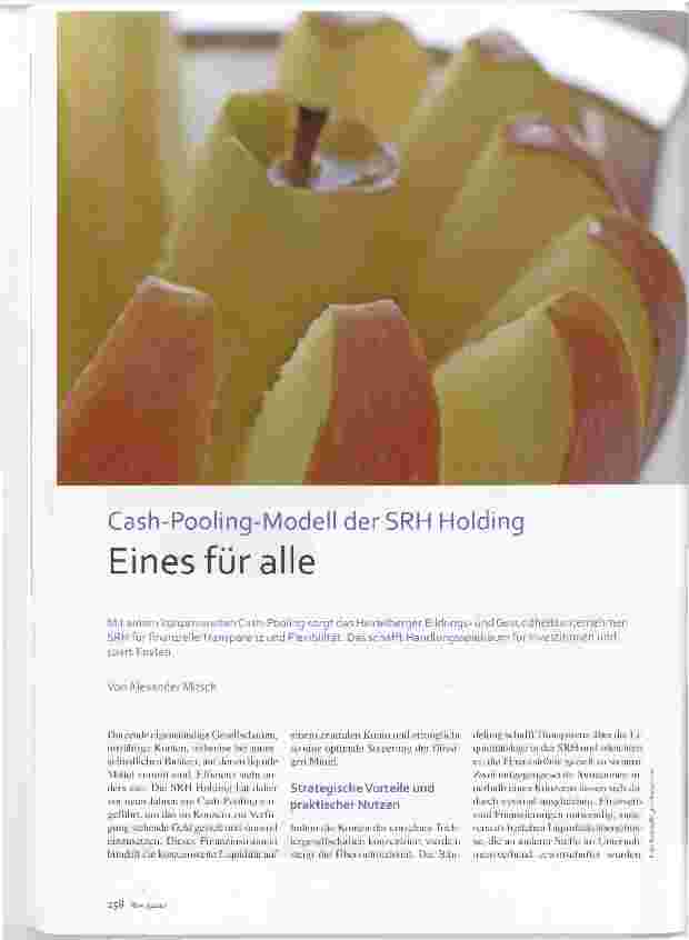 Vorschauseite 1: Cash-Pooling-Modell der SRH Holding Eines für alle