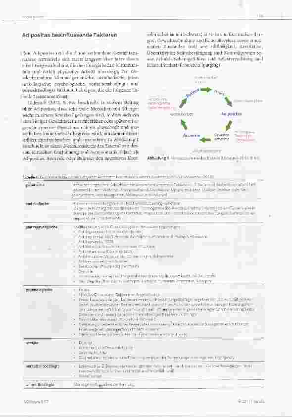Vorschauseite 3: Adipositas Pflegediagnostik und Interventionen