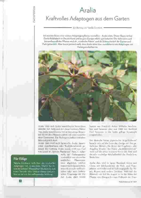 Vorschauseite 1: Kraftvolles Adaptogen aus dem Garten