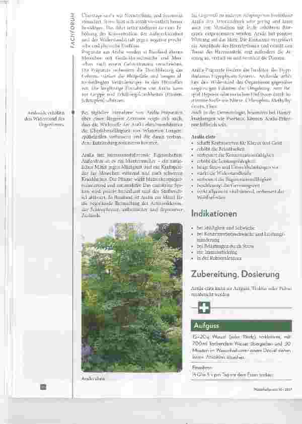 Vorschauseite 3: Kraftvolles Adaptogen aus dem Garten