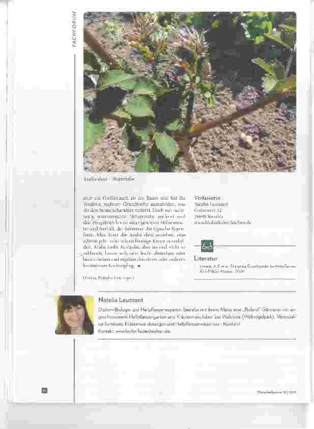 Vorschauseite 6: Kraftvolles Adaptogen aus dem Garten