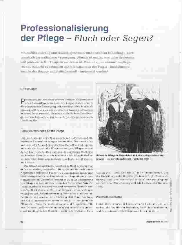 Vorschauseite 1: Professionalisierung der Pflege Fluch oder Segen?