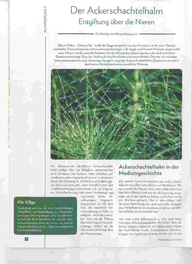 Vorschauseite 1: Der Ackerschachtelhalm Entgiftung über die Nieren
