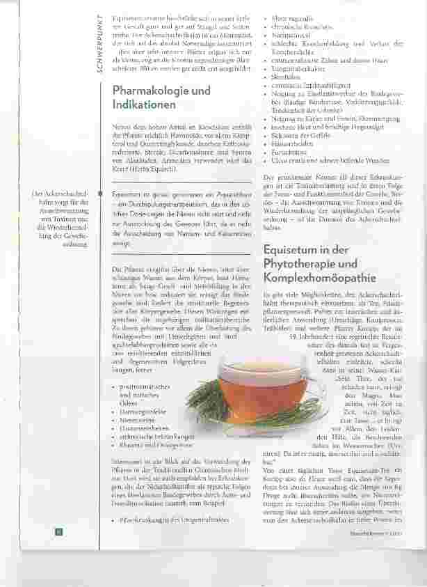 Vorschauseite 3: Der Ackerschachtelhalm Entgiftung über die Nieren