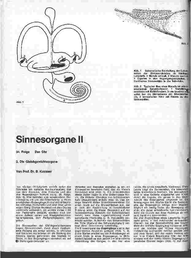 Vorschauseite 1: Sinnesorgane II 34. Folge: Das Ohr 2. Die Gleichgewichtsorgane